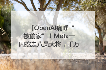 OpenAI痛呼“被偷家”！Meta一周挖走八员大将，千万美元薪酬战开打