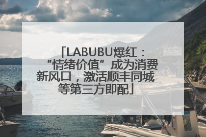 LABUBU爆红：“情绪价值”成为消费新风口，激活顺丰同城等第三方即配