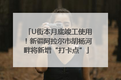 U街本月底竣工使用！新疆阿拉尔市胡杨河畔将新增“打卡点”